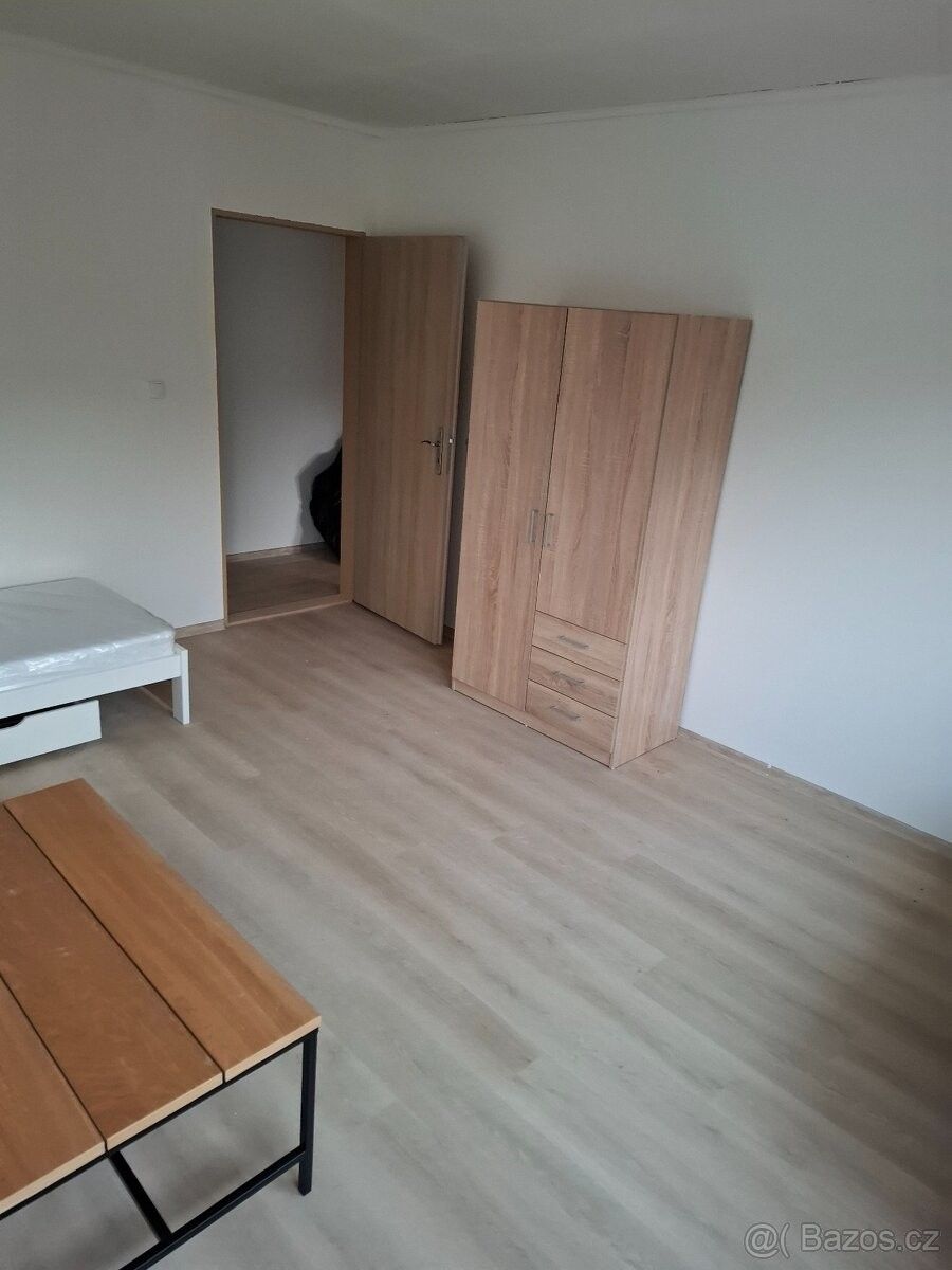 Pronájem byt 1+1 - Staré Město pod Landštejnem, 378 82, 40 m²