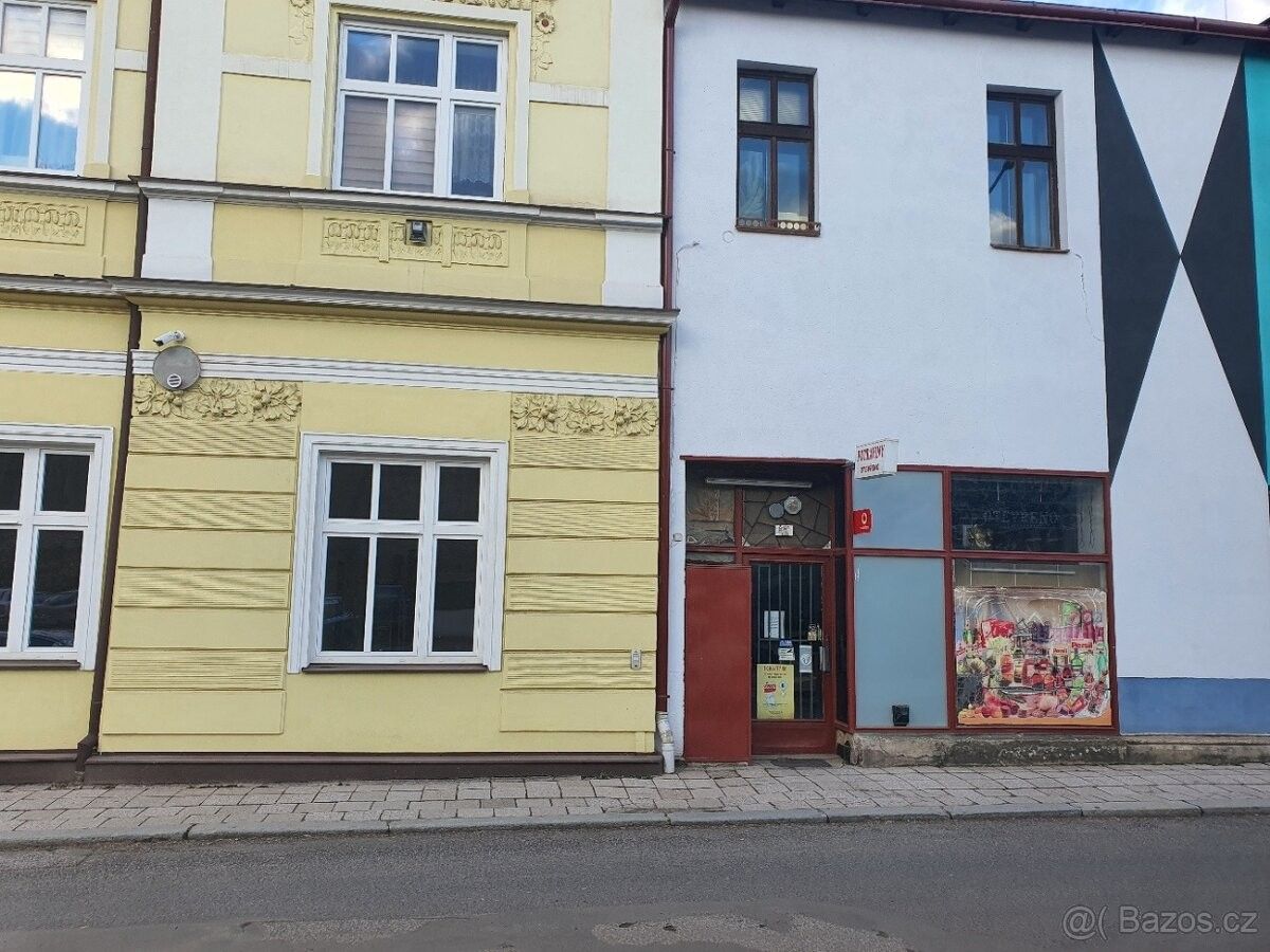 Obchodní prostory, Nová Paka, 509 01, 91 m²