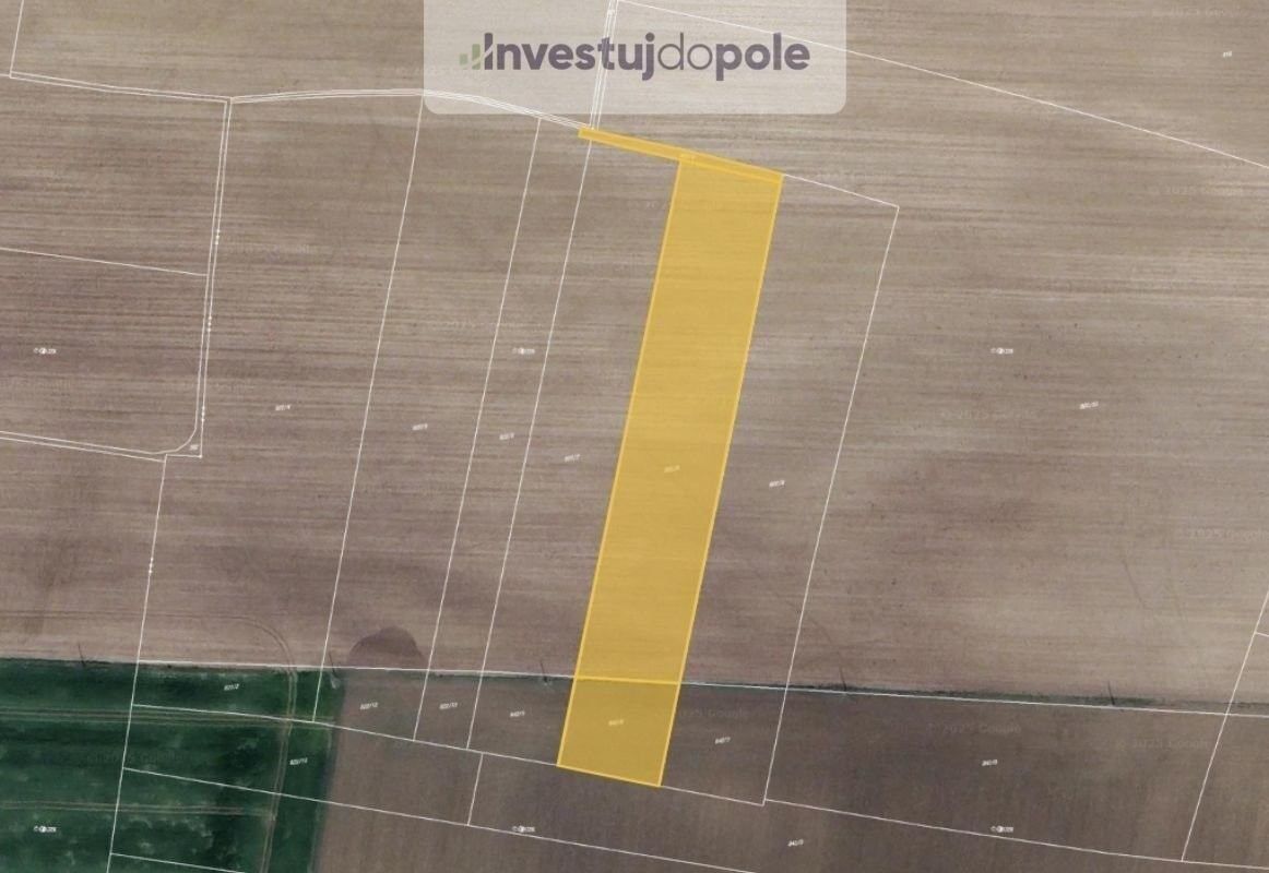 Zemědělské pozemky, Přestavlky, 2 095 m²