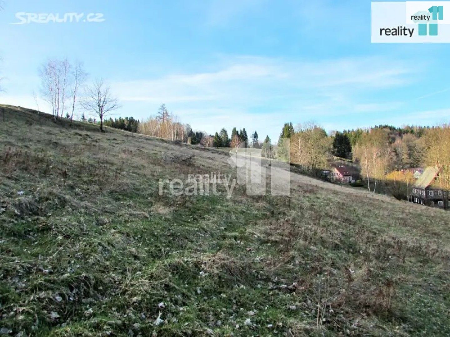 Prodej louka - Dlouhý Důl, Krásná Lípa, 4 262 m²