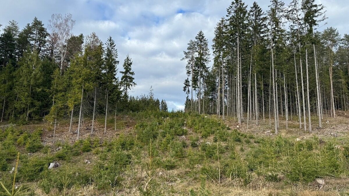 Pozemky pro bydlení, Pecka, 507 82