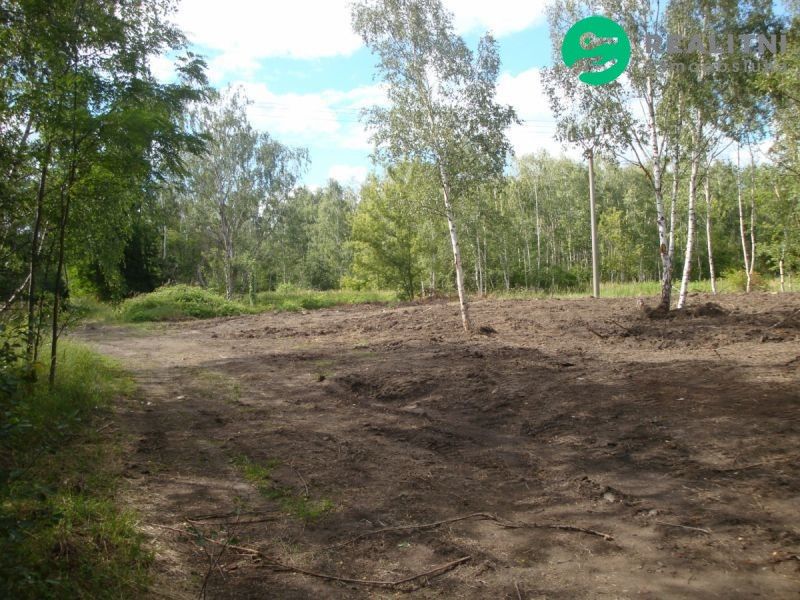 Zahrady, Mariánské Radčice