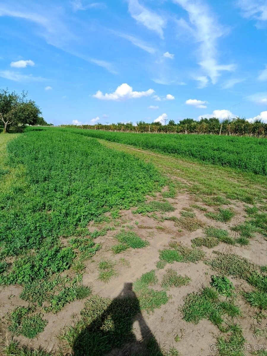 Zahrady, Starý Poddvorov, 696 16