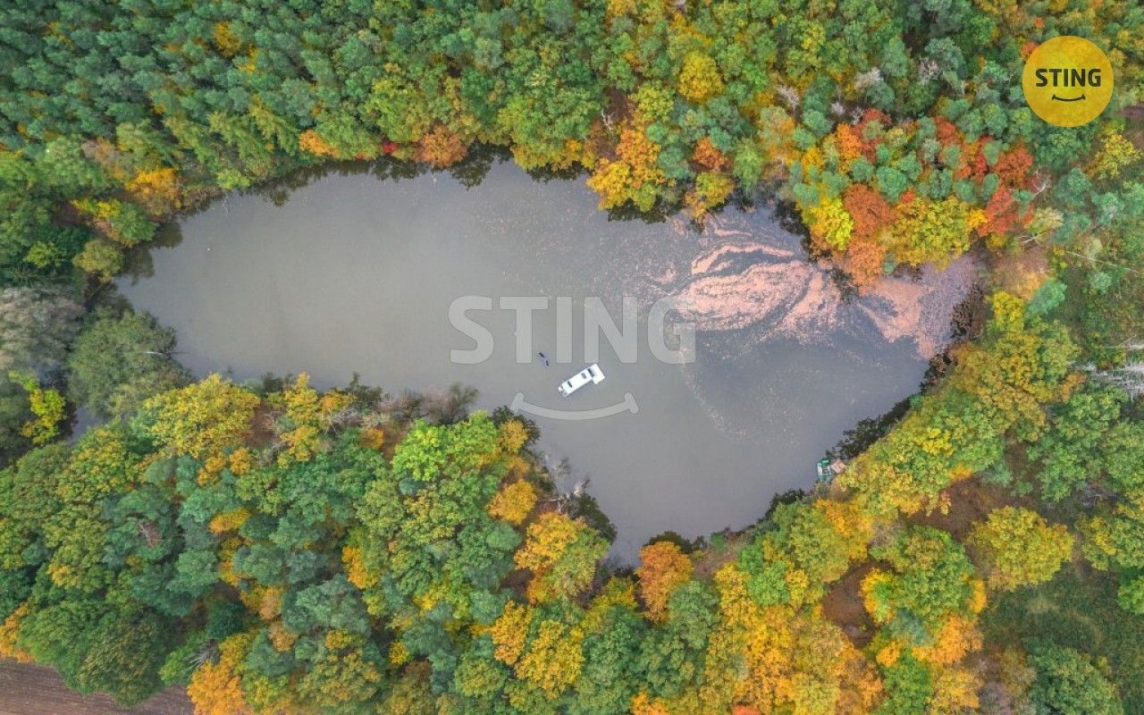 Ostatní, Litětiny, Dolní Roveň, 42 553 m²