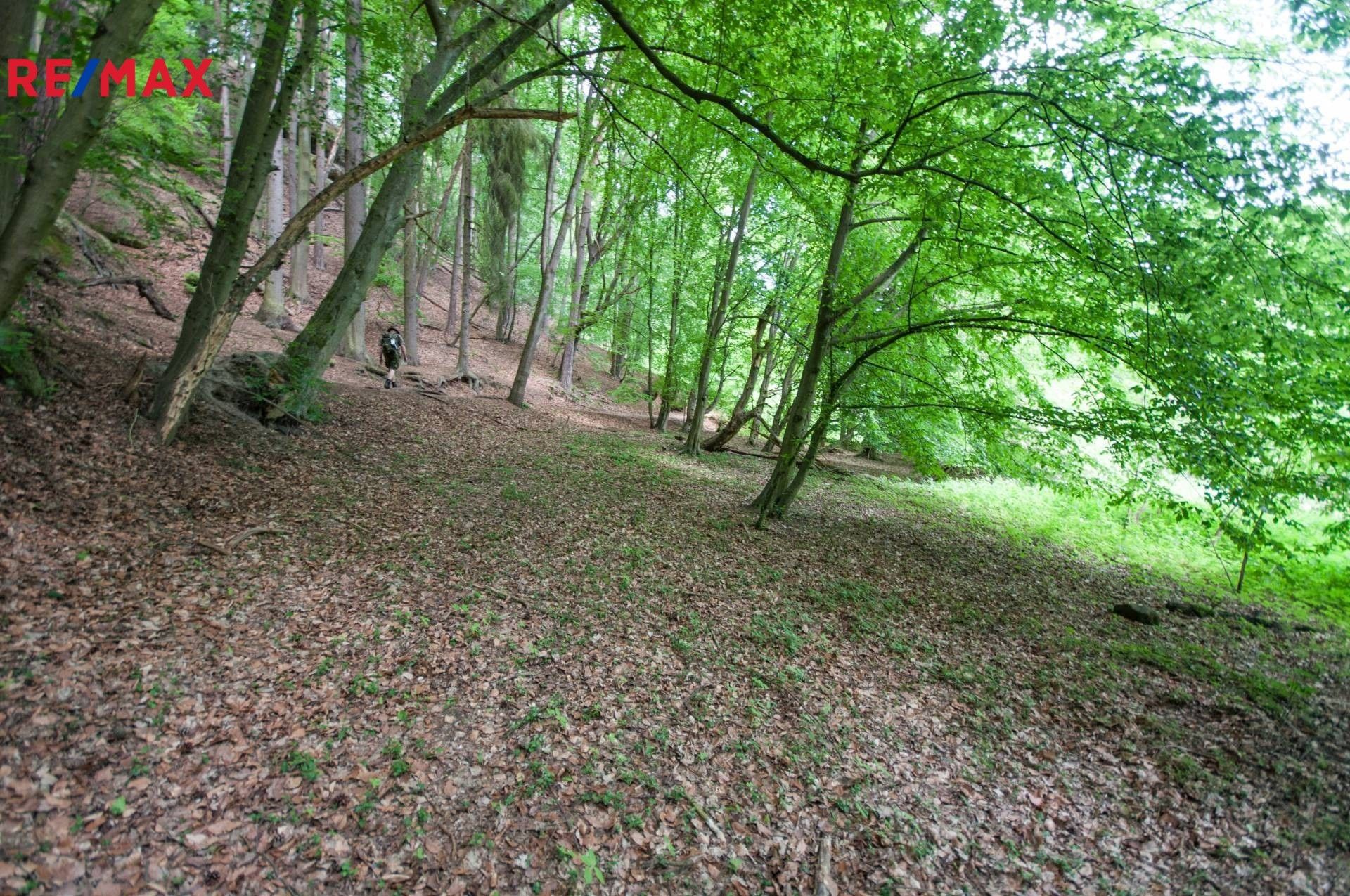 Prodej les - , Kokořín, 13 m²