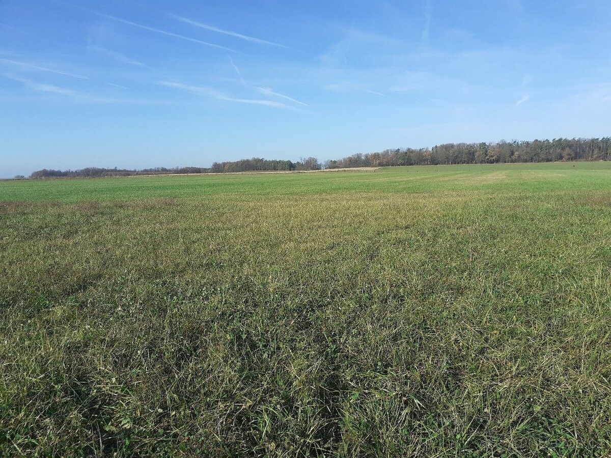 Pozemky pro bydlení, Dolní Roveň, 533 71