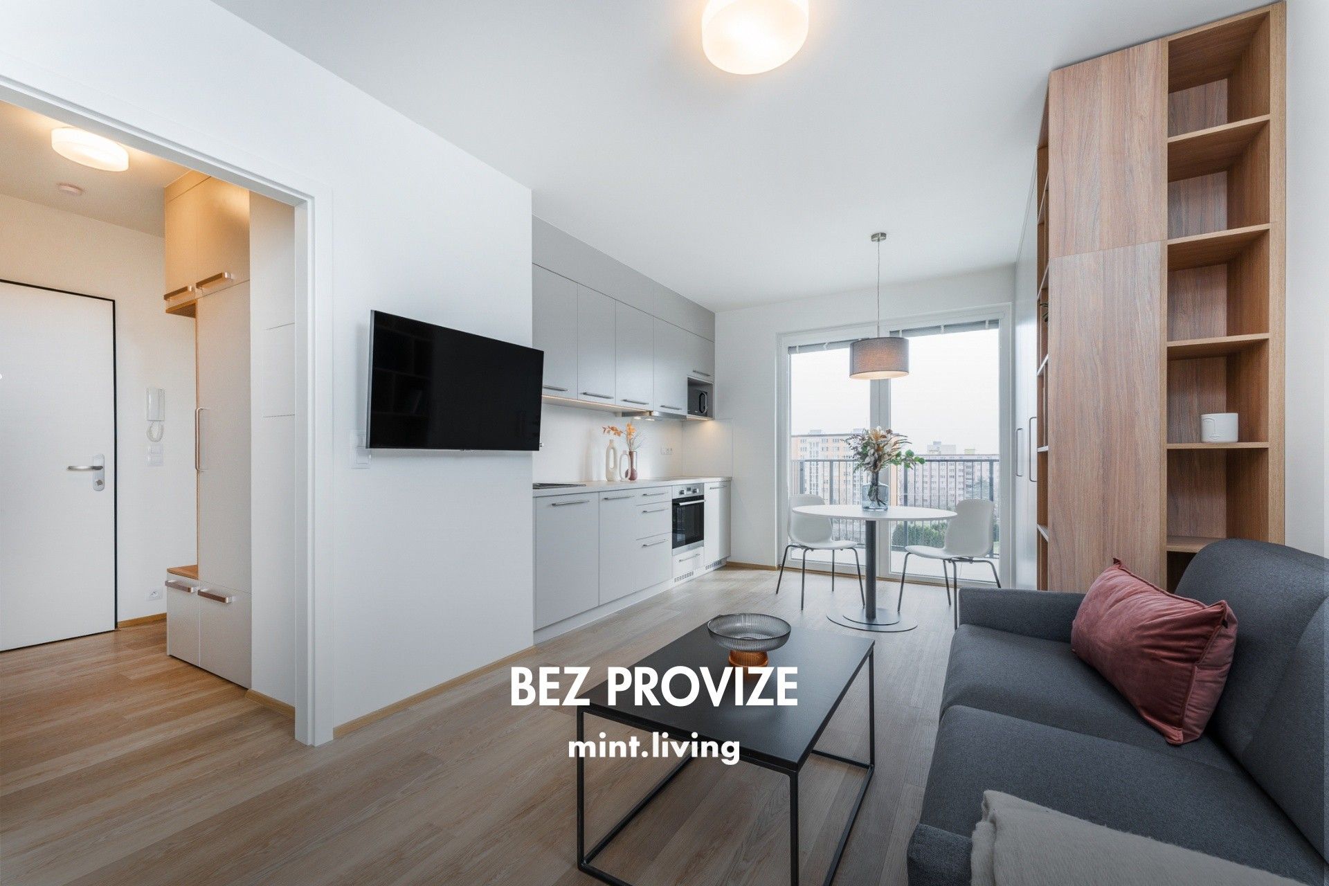 1+kk, Skvrňany, Plzeň, 39 m²