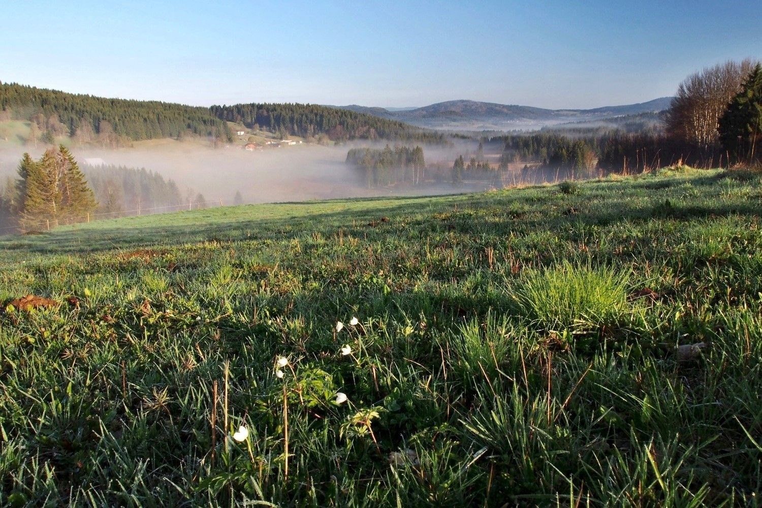 Ostatní, České Žleby, Stožec, 298 m²