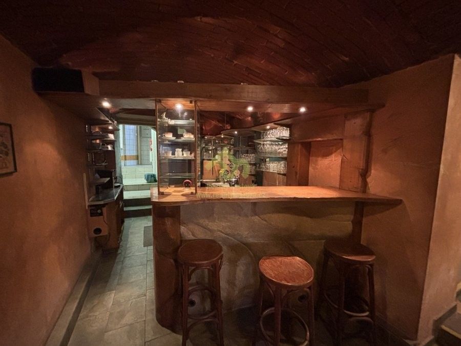 Restaurace, Lindauerova, Plzeň, 124 m²