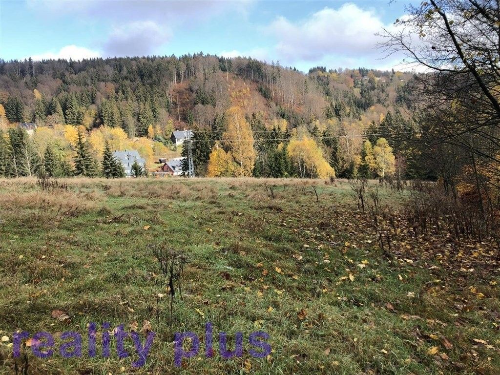 Prodej louka - Bedřichov, 24 m²