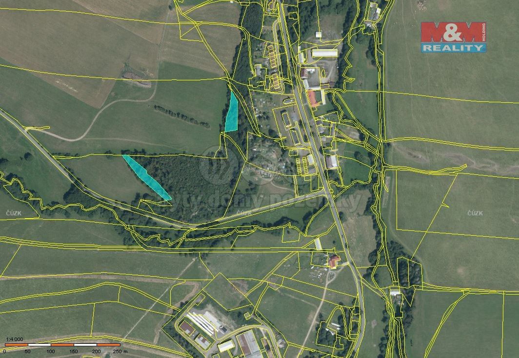 Lesy, Břidličná, 793 51, 3 800 m²