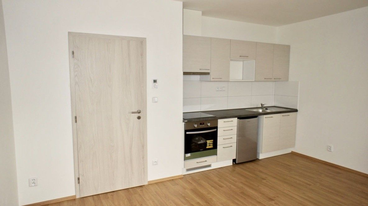 1+kk, Merhautova, Brno, 23 m²