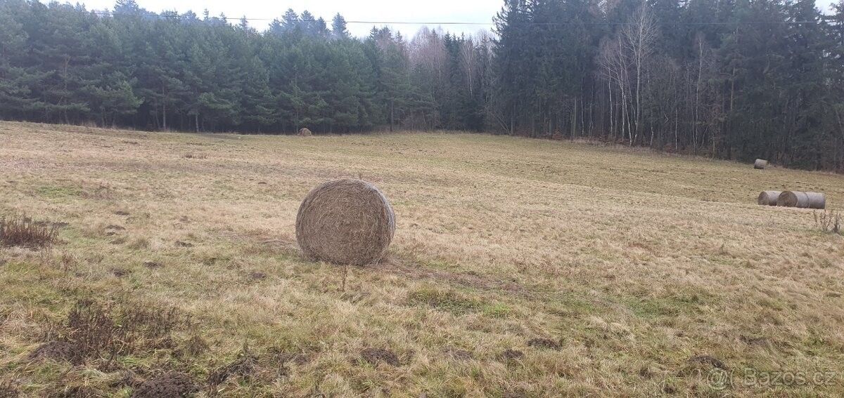 Zemědělské pozemky, Křižany, 463 53, 66 932 m²