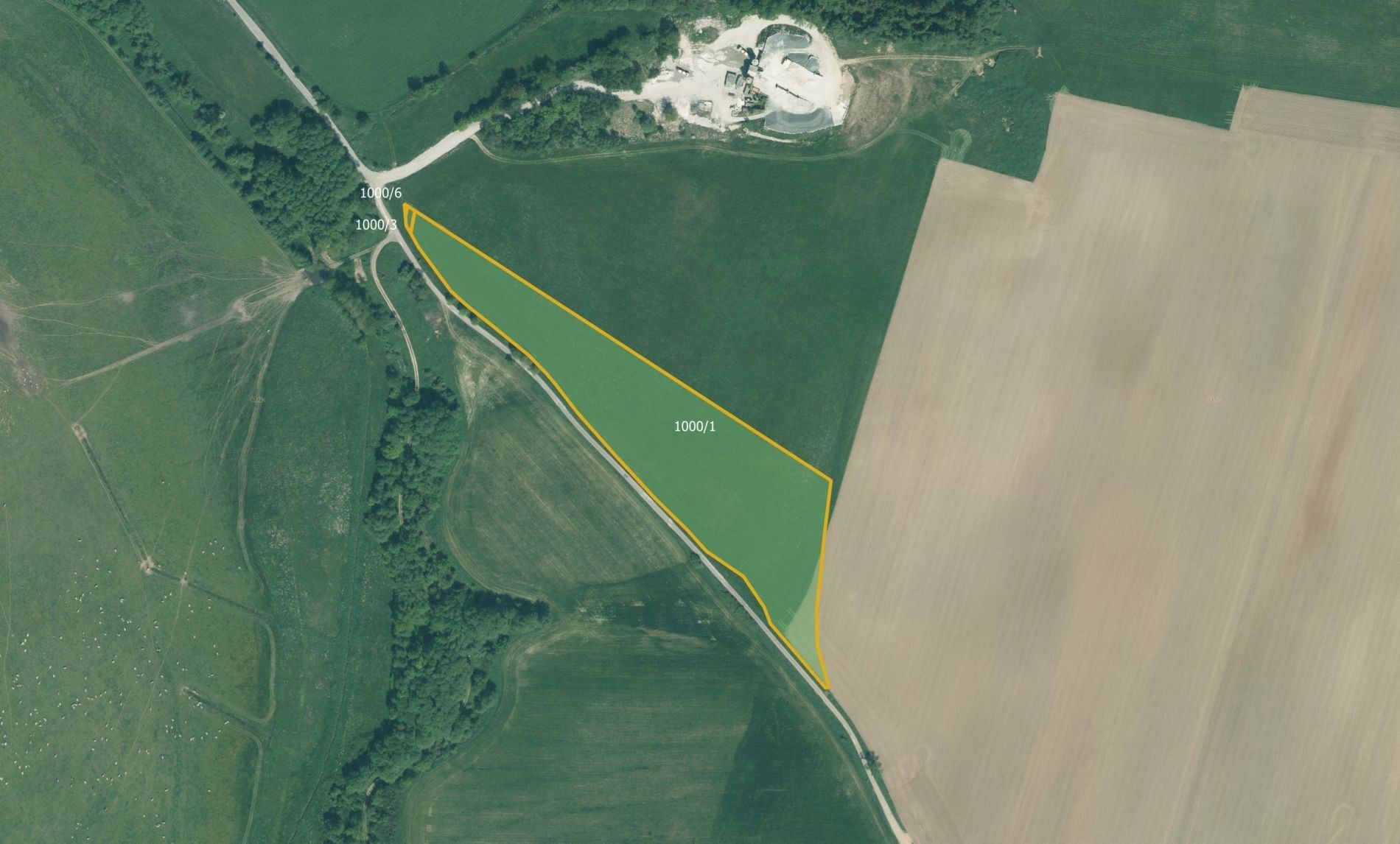 Zemědělské pozemky, Skviřín, Bor