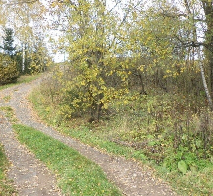 Prodej louka - Říčky v Orlických horách, 1 472 m²