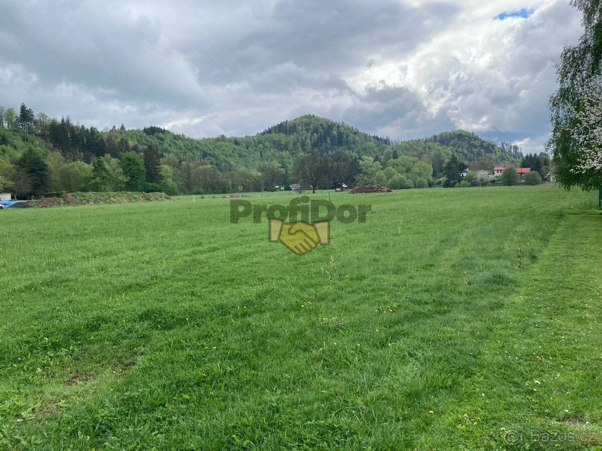 Pozemky pro bydlení, Dolní Bečva, 756 55, 3 092 m²