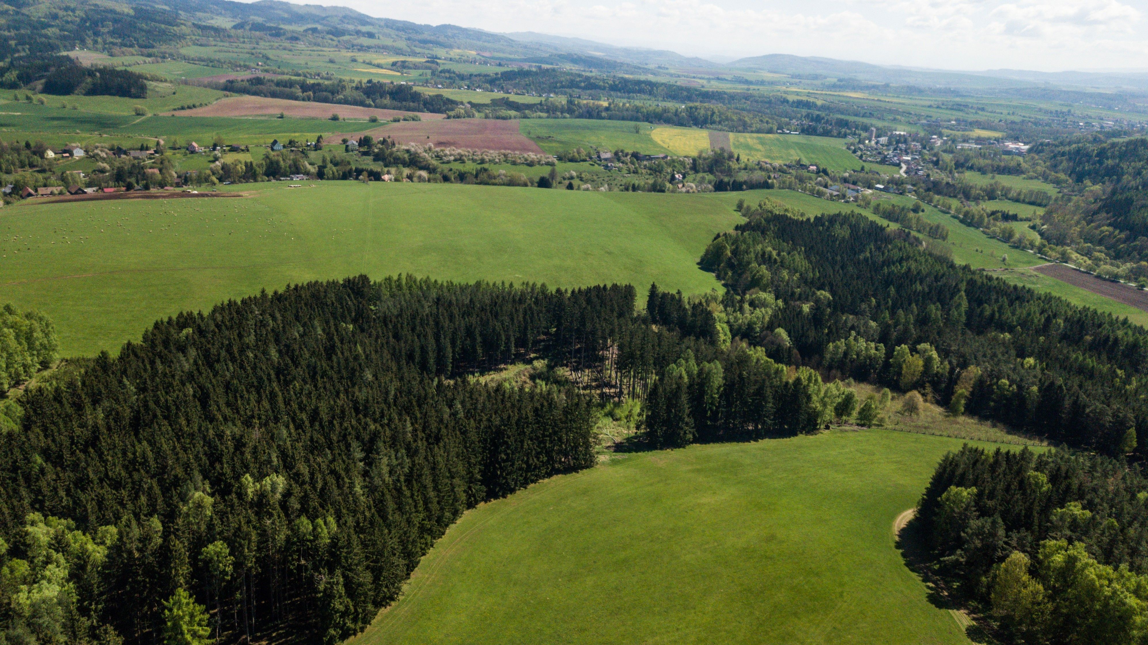 Lesy, Heřmánkovice , 20 336 m²