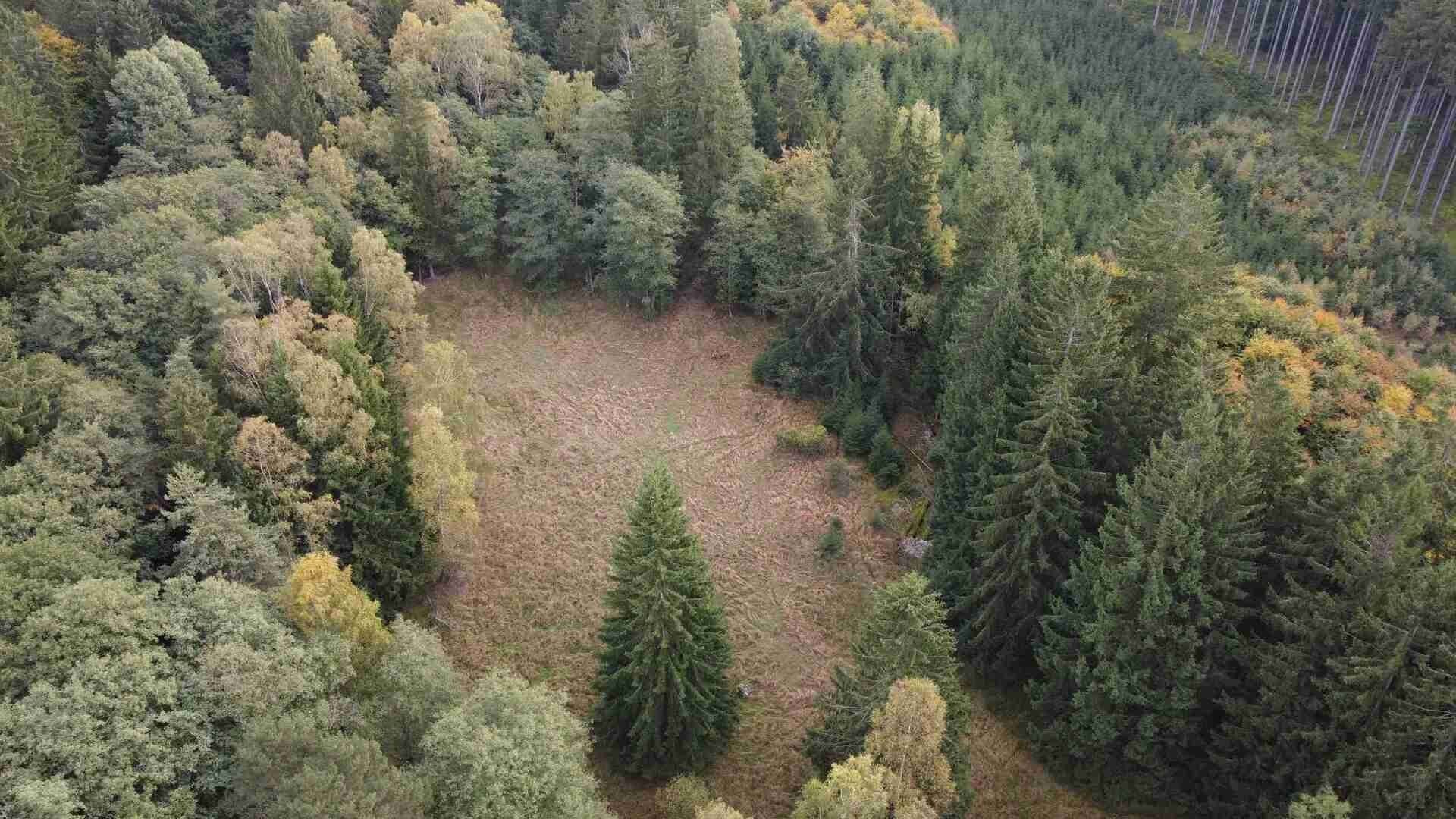 Zemědělské pozemky, Hošťka, 26 859 m²