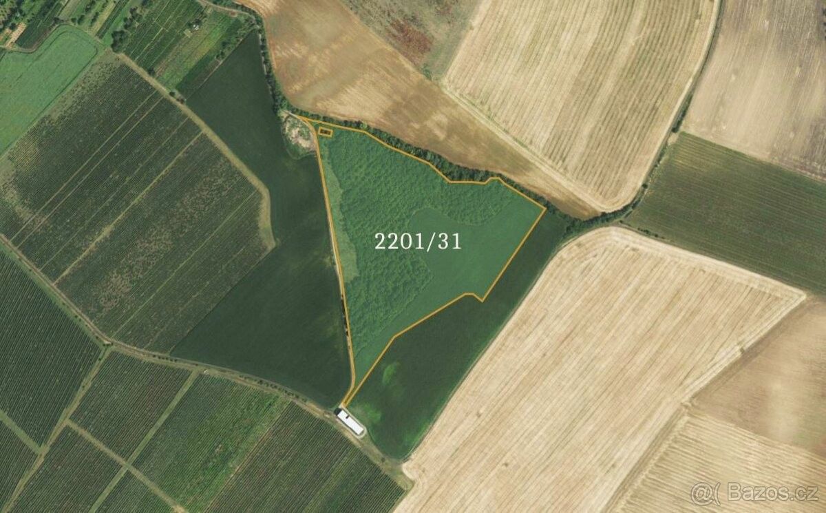 Zemědělské pozemky, Bořetice u Hustopečí, 691 08, 71 982 m²