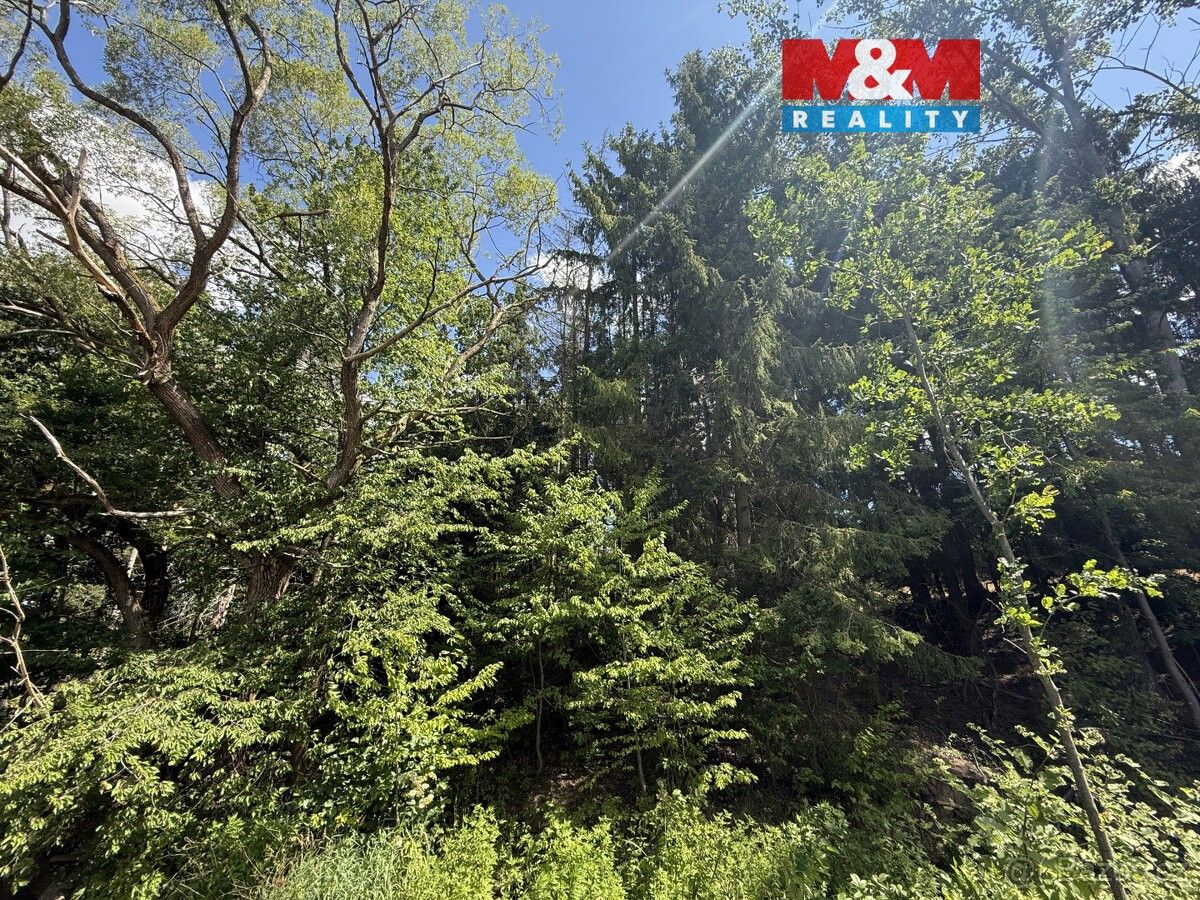 Pozemky pro bydlení, Opařany, 391 61