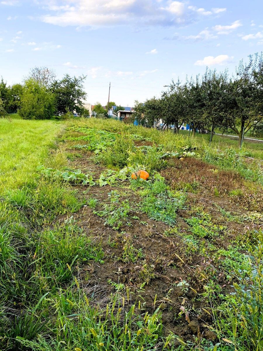 Pozemky pro bydlení, Velký Týnec, 783 72