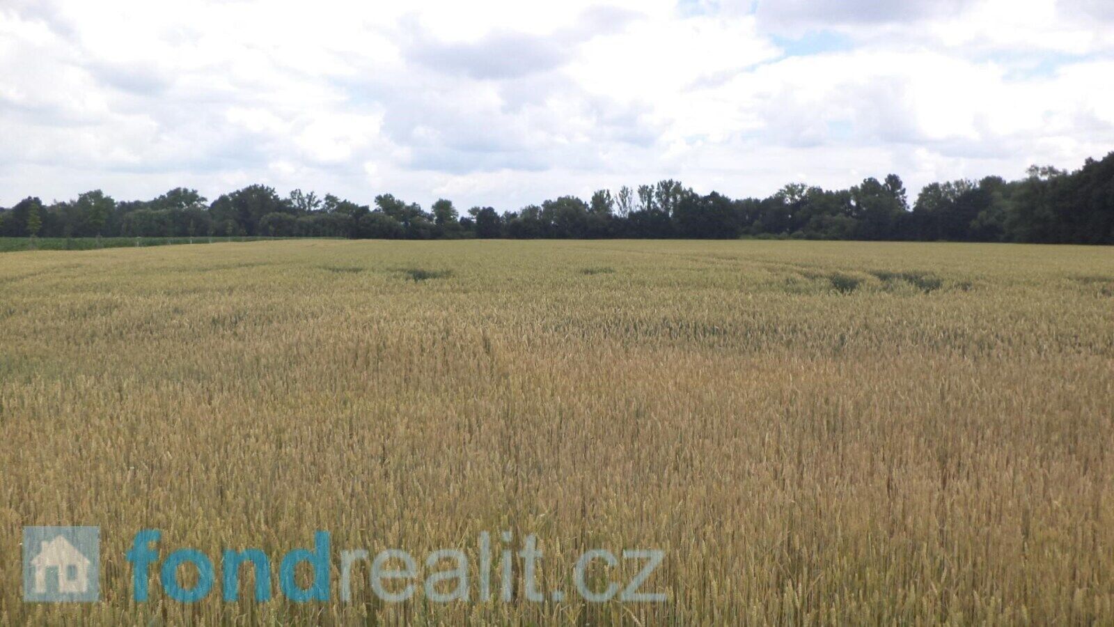 Ostatní, Roudné, 6 m²