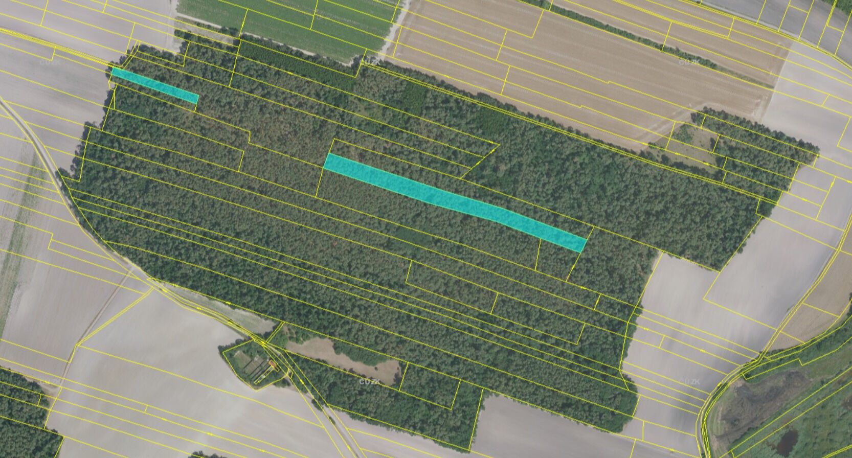 Prodej les - Stará Lysá, 11 m²