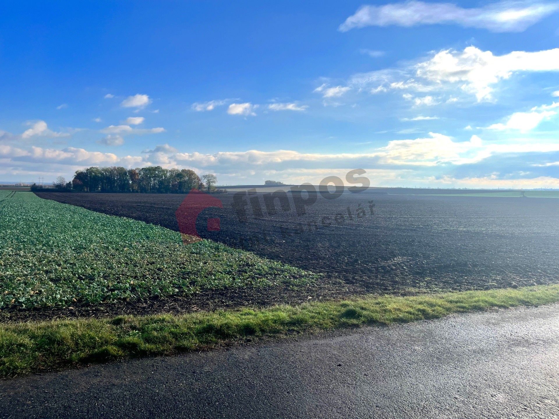 Prodej les - Přezletice