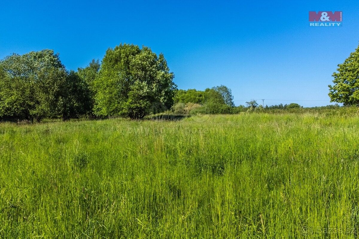 Prodej zemědělský pozemek - Krásná Lípa u Rumburka, 407 46, 124 828 m²