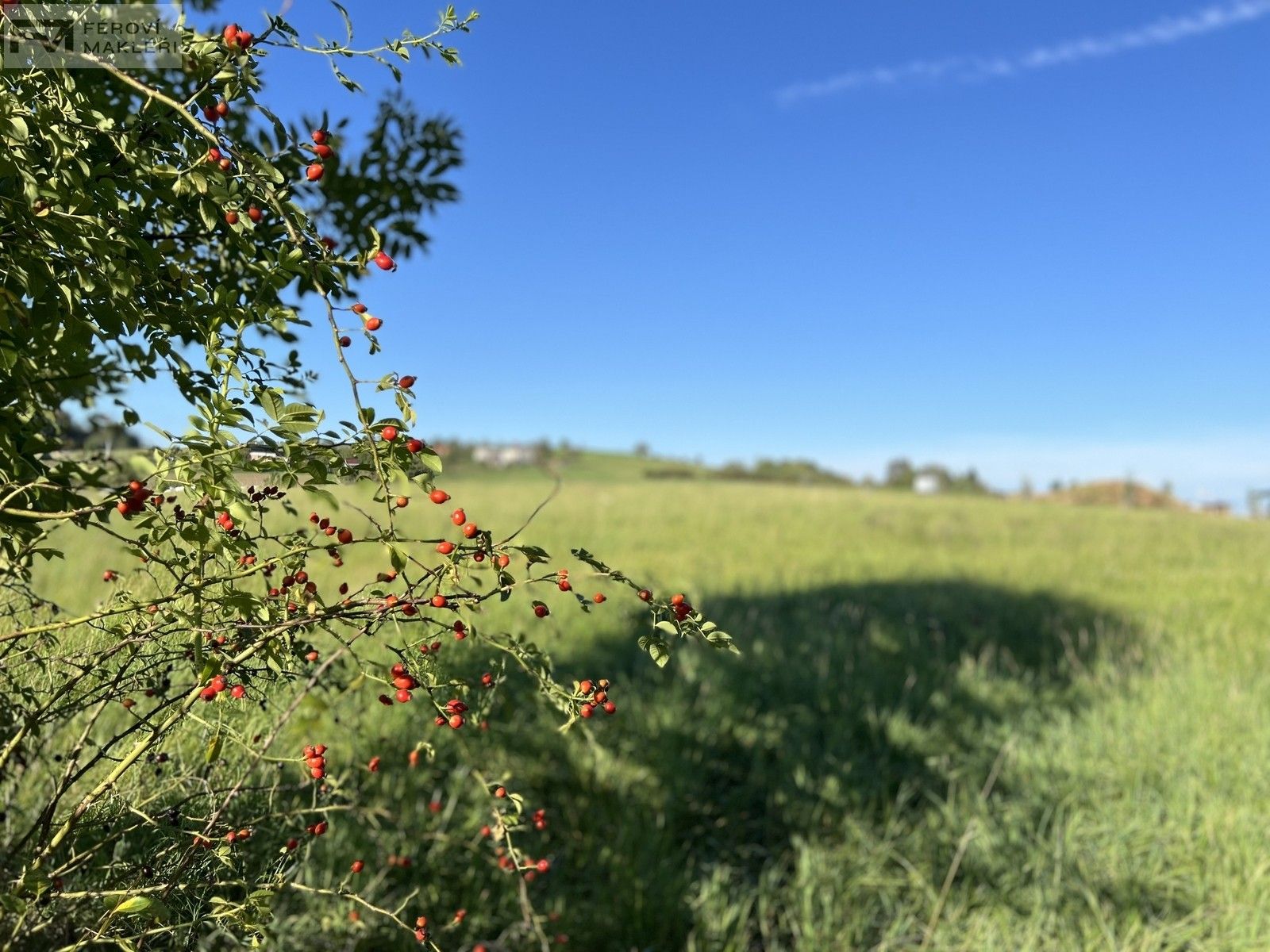 Pozemky pro bydlení, Příbor, 1 m²