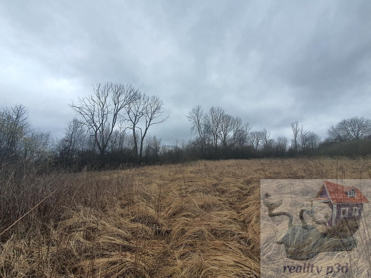 Louky, Bořetín, Stružnice, 2 105 m²