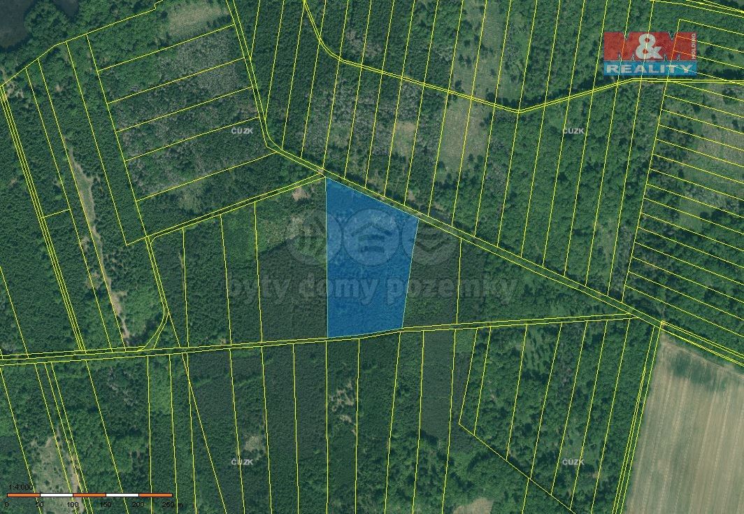 Prodej les - Hluboká nad Vltavou, 373 41, 26 199 m²