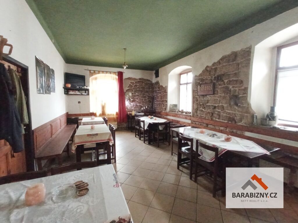 Obchodní prostory, Žireč, Dvůr Králové nad Labem, 971 m²