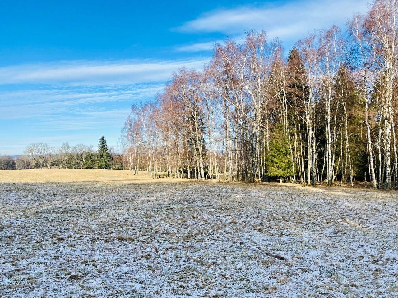 Prodej les - Kostelní Bříza, Březová, 2 257 m²