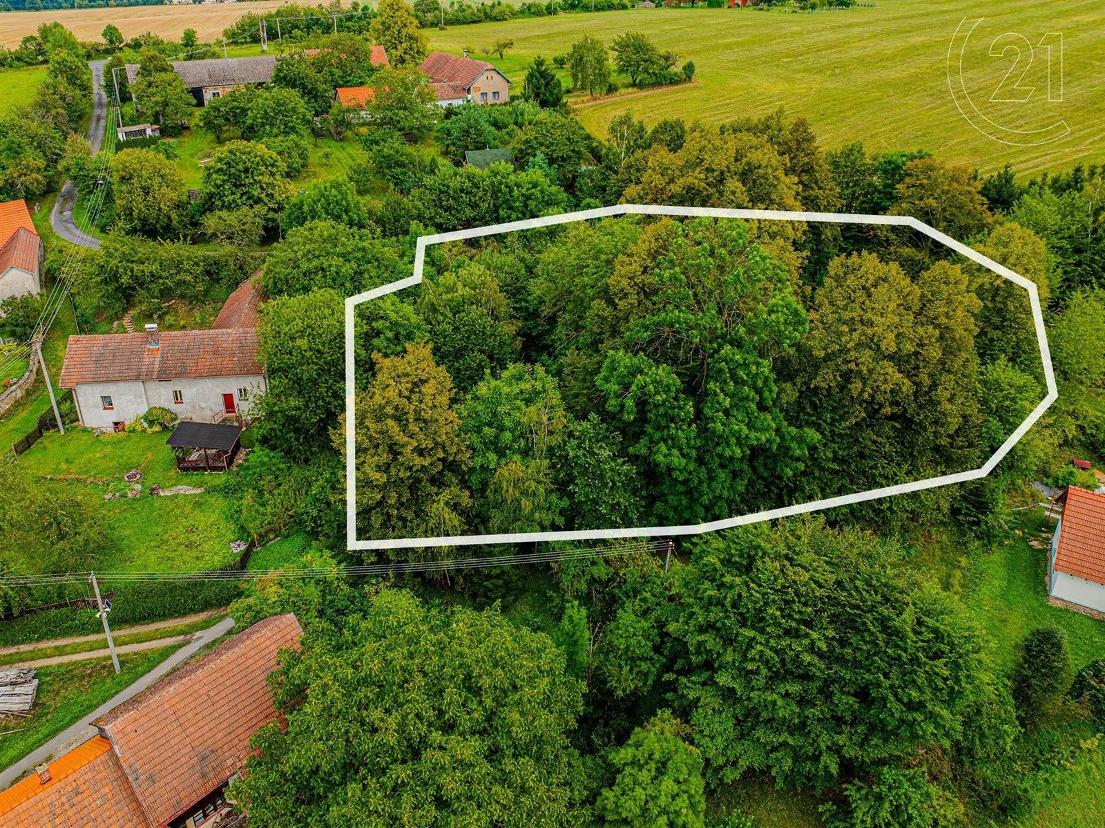 Prodej pozemek pro bydlení - Košťany, Vilémov, 1 462 m²