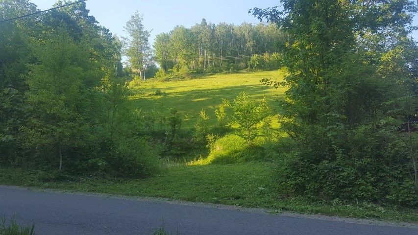 Pozemky pro bydlení, Staré Město pod Sněžníkem, 788 32, 800 m²