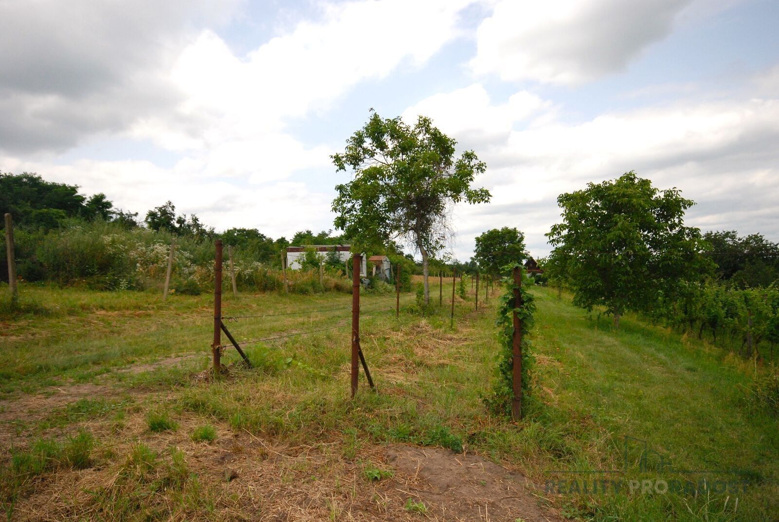 Prodej pozemek pro bydlení - Charvátská Nová Ves, Břeclav, 1 960 m²