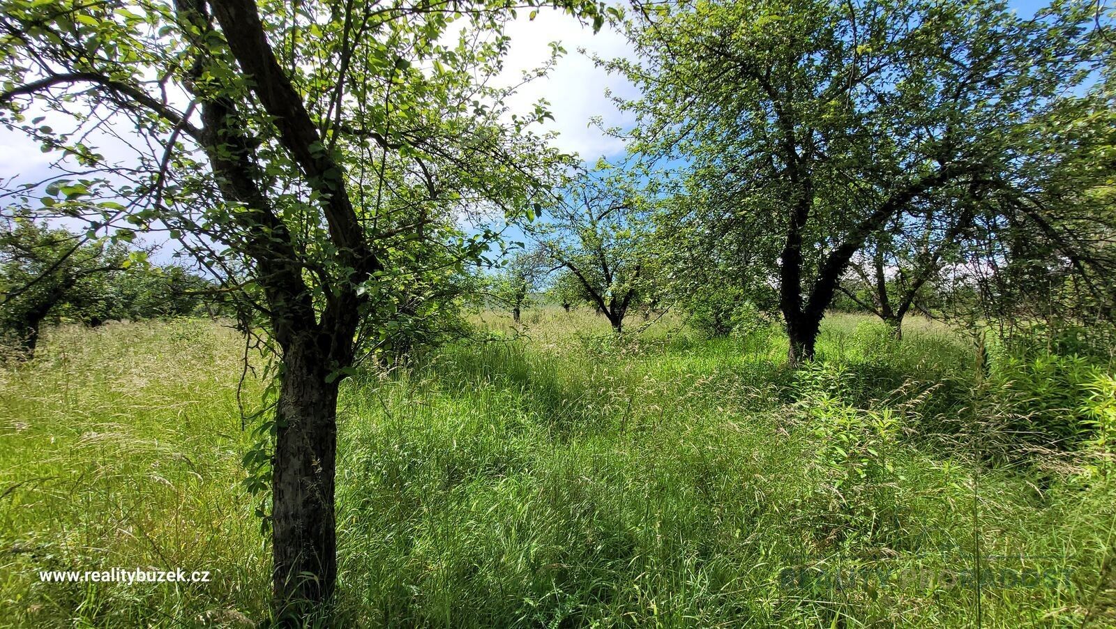 Prodej zahrada - Kloboučky, Bučovice, 363 m²