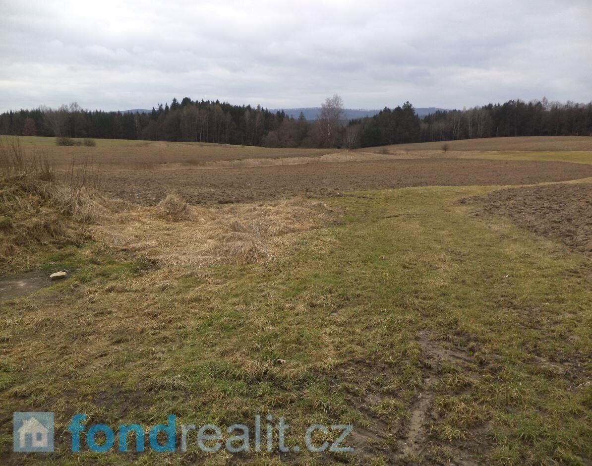 Prodej zemědělský pozemek - Horní Třešňovec, 7 248 m²