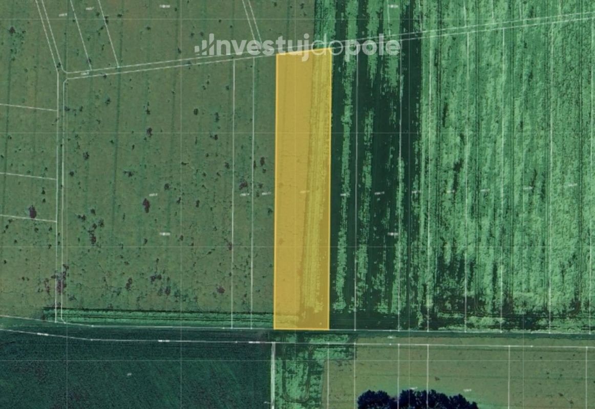 Prodej zemědělský pozemek - Dub nad Moravou, 783 75, 1 264 m²