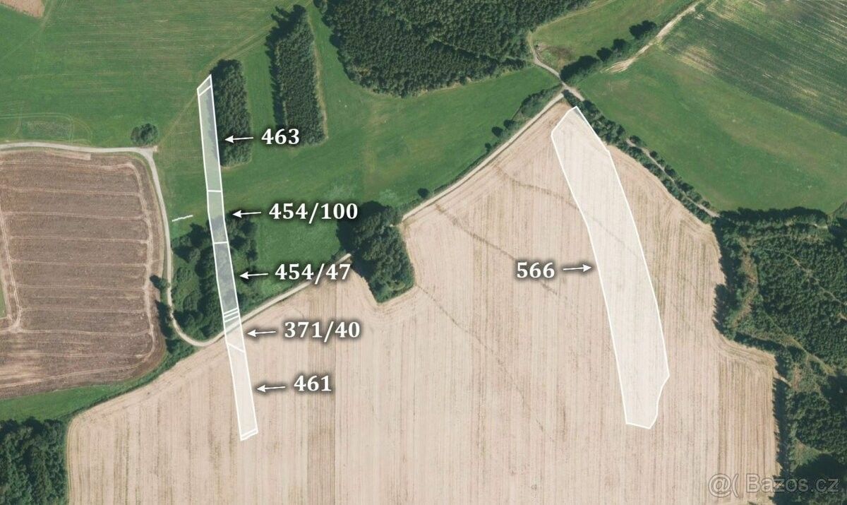 Prodej zemědělský pozemek - Choustník, 391 18, 13 713 m²