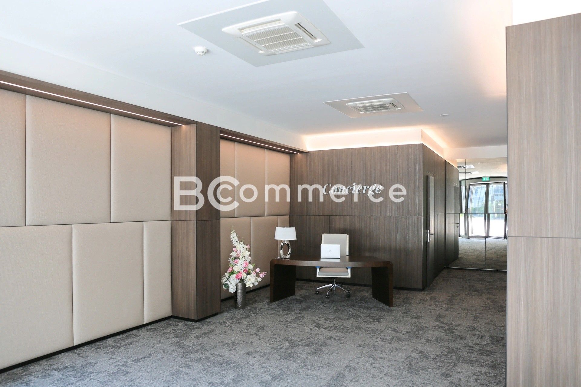 Kanceláře, Staré Brno, Brno, 200 m²