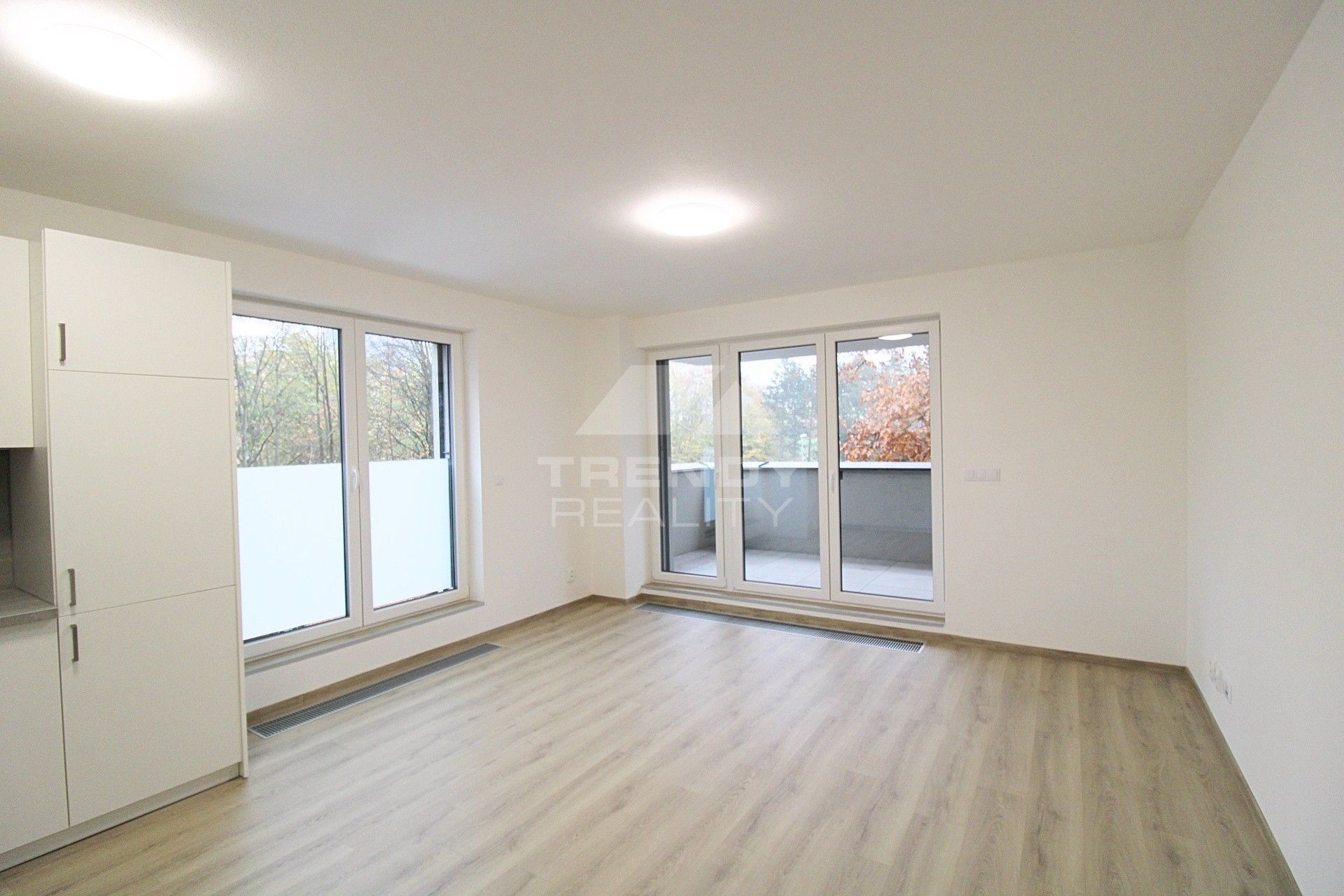 Pronájem byt 2+kk - Heyrovského,Doudlevce,Plzeň, 54 m²