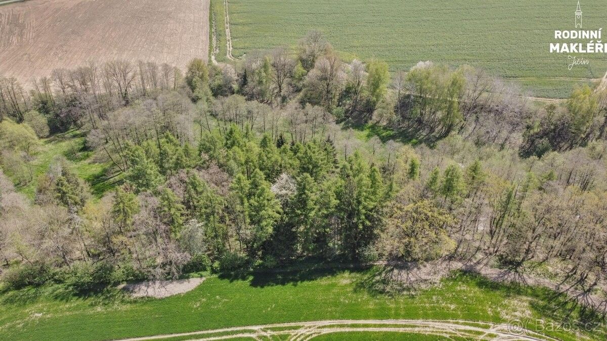 Pozemky pro bydlení, Vilémov u Golčova Jeníkova, 582 83