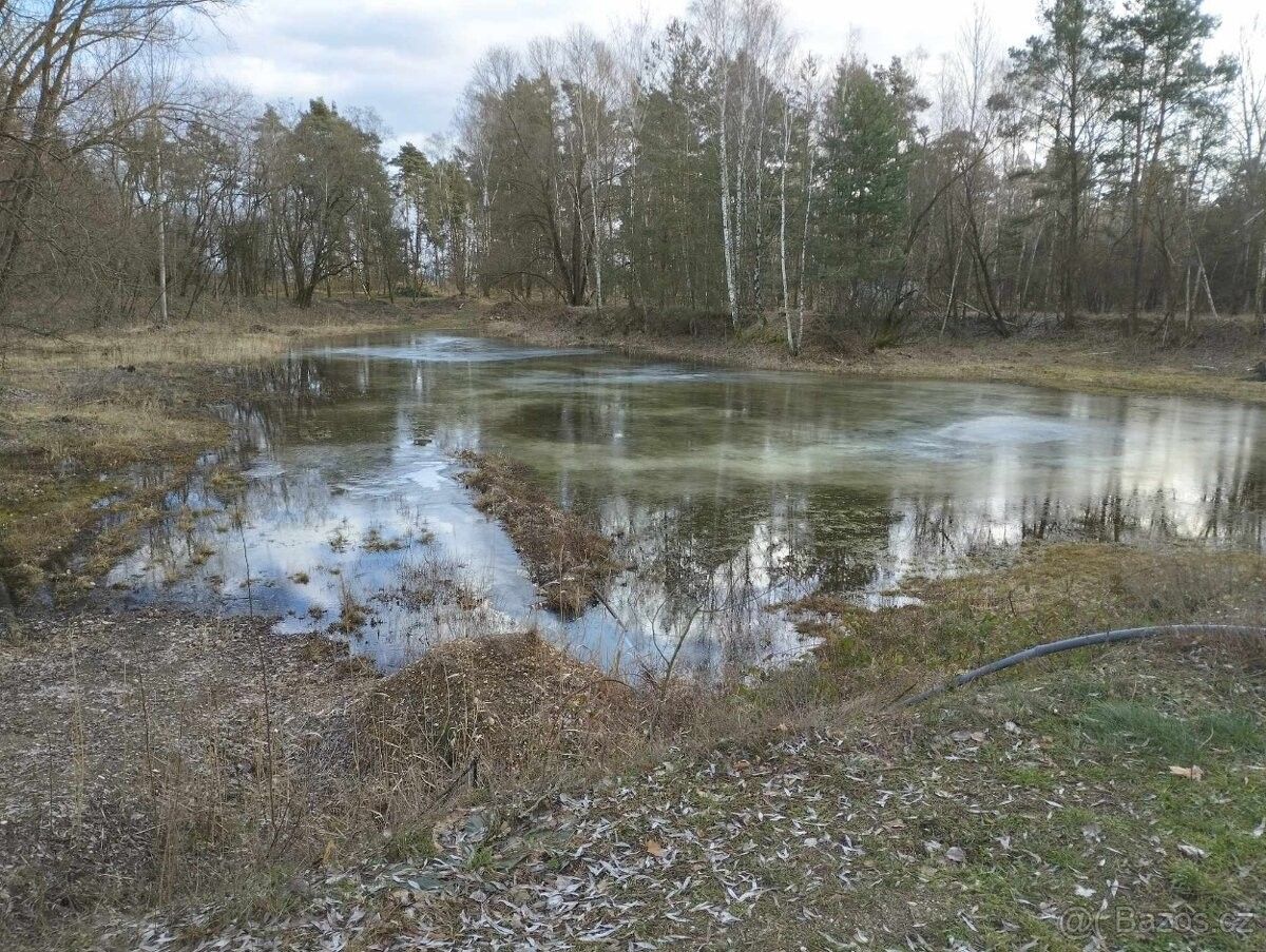 Lesy, Lysá nad Labem, 289 22, 17 314 m²