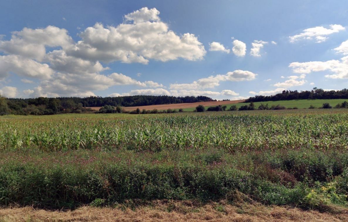 Prodej zemědělský pozemek - Velečín, 28 049 m²