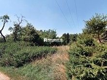 Zahrady, Nové Osinalice, Medonosy