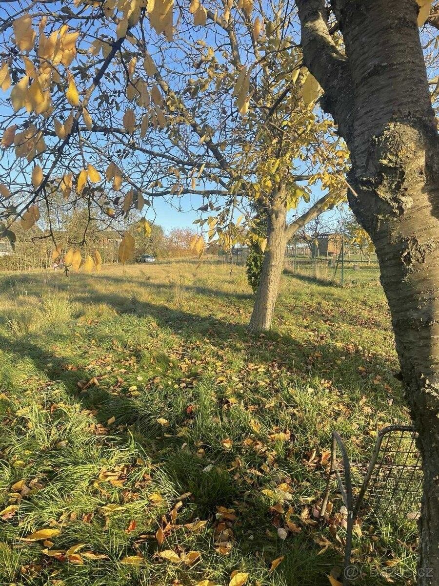 Pozemky pro bydlení, Moravský Krumlov, 672 01
