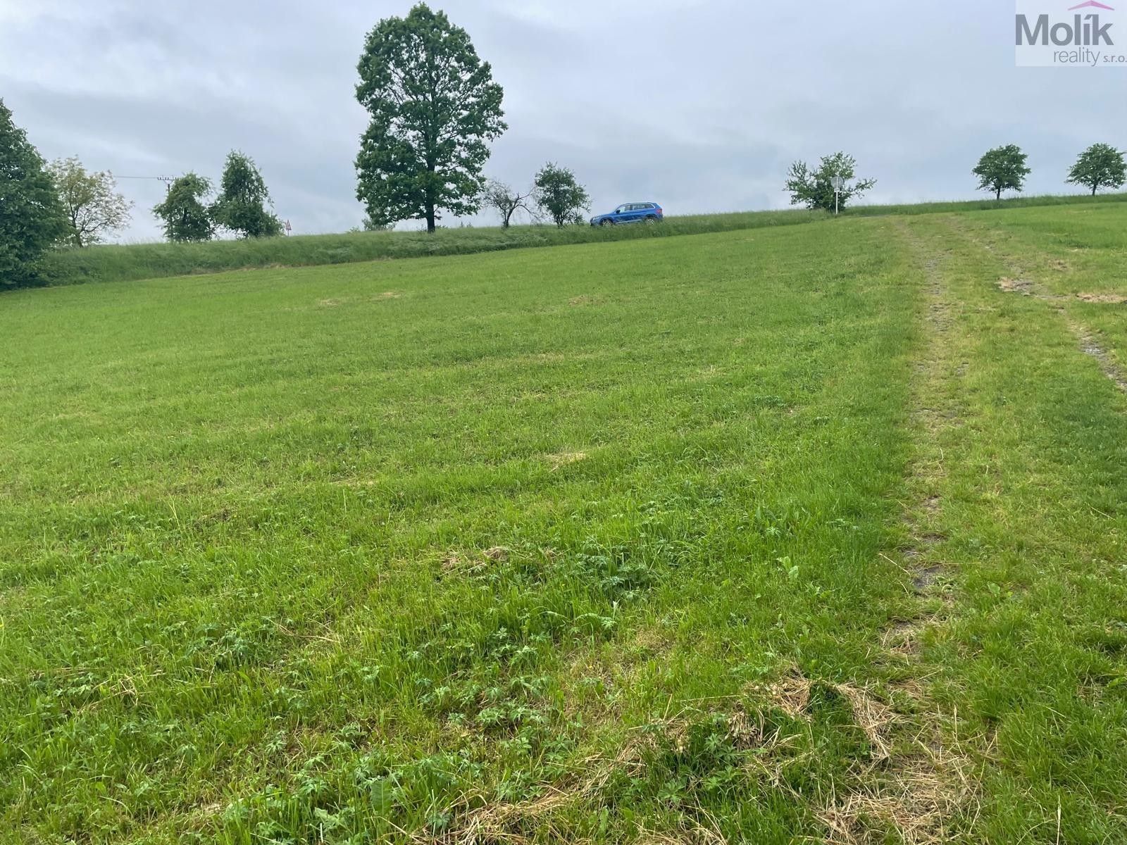 Zemědělské pozemky, Palačov, Starý Jičín, 33 045 m²