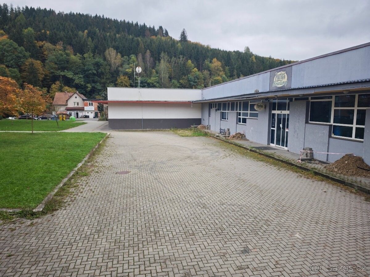 Obchodní prostory, Vsetín, 755 01, 59 m²